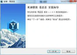 易歪歪的分类及其深度解析