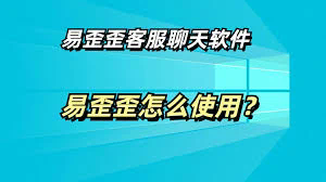 深入解析易歪歪电脑版官网及其功能特点